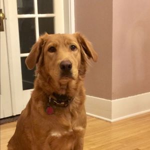 Meet your Posher, Kyle